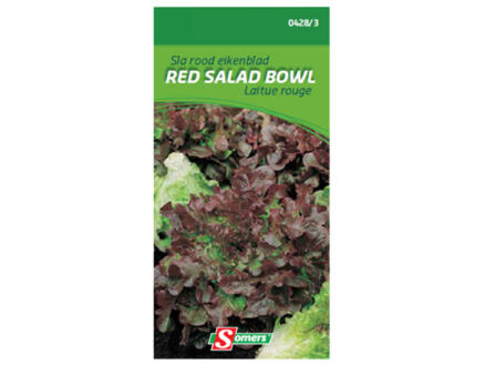Sla rood eikenblad Red Salad Bowl 1
