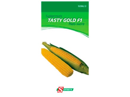 Suikermaïs Tasty Gold F1 1