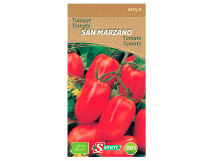 Tomaat San Marzano 1
