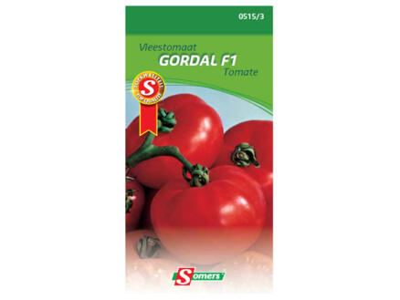 Tomate Gordal F1 1