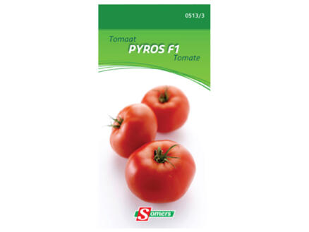 Tomate Pyros F1 1