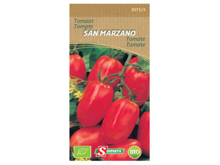 Tomate San Marzano 1