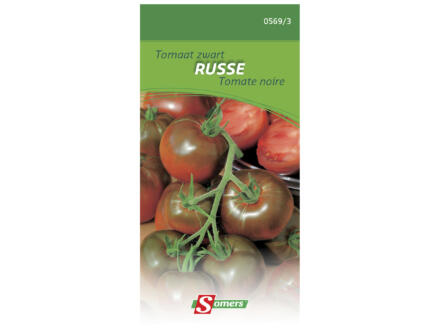 Tomate noire Russe 1