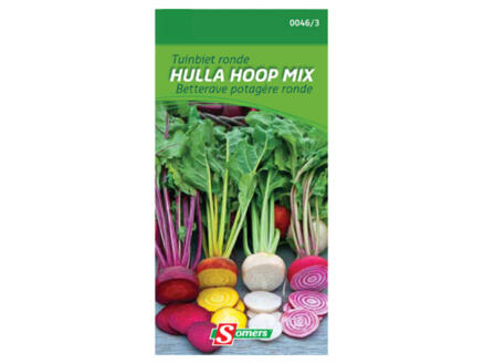 Tuinbiet ronde Hulla Hoop Mix 1