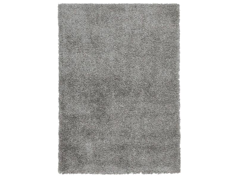 Vivace Shaggy Boston tapis 220x150 cm gris clair