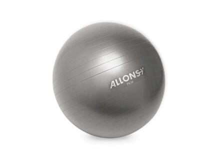 Allons-Y ballon fitness 75cm gris 1
