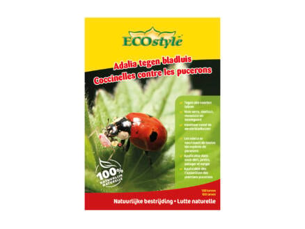 Ecostyle larven lieveheersbeestjes tegen luizen 50 stuks 1