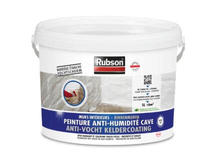 Rubson peinture anti-humidité cave 5l 1